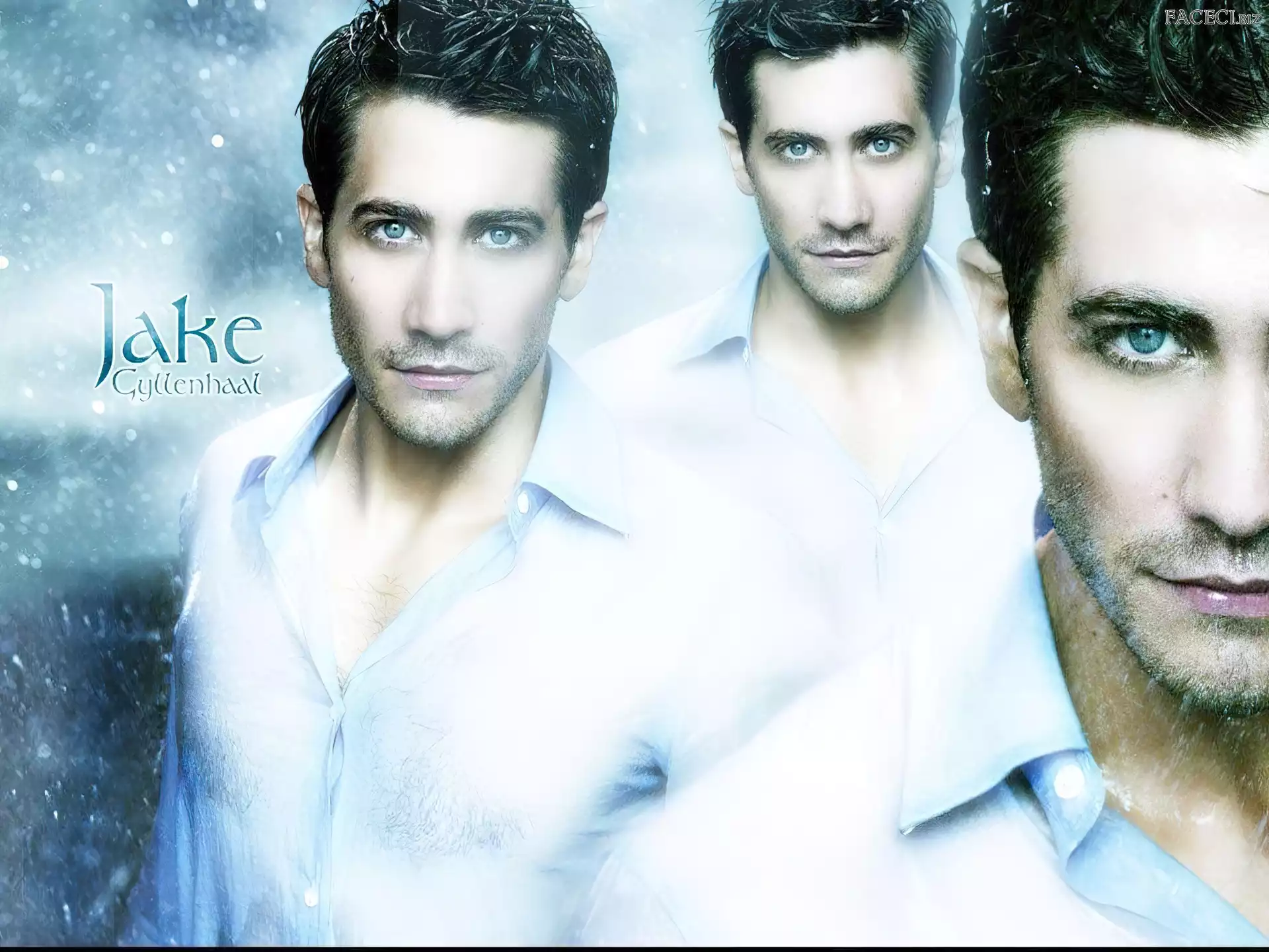 biała koszula, Jake Gyllenhaal, niebieskie oczy